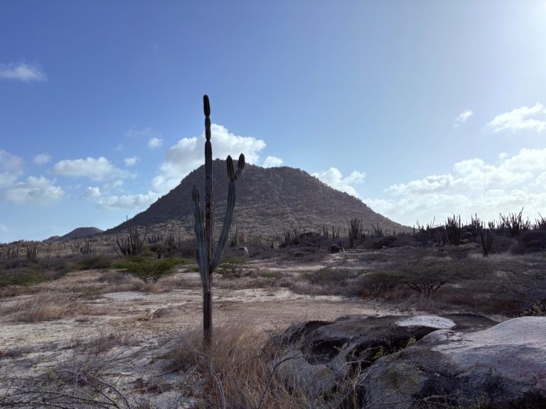 SIDEWALK, Piedra Plat, Aruba Aruban landscape at Piedra Plat with a cactus and the Hooiberg mountain in the distance, photographed during a SIDEwalk.